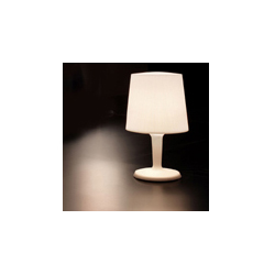 metalarte InOut Table Lamp台灯CGT053_办公华体会网页版登录入口_台灯_现代经典灯饰