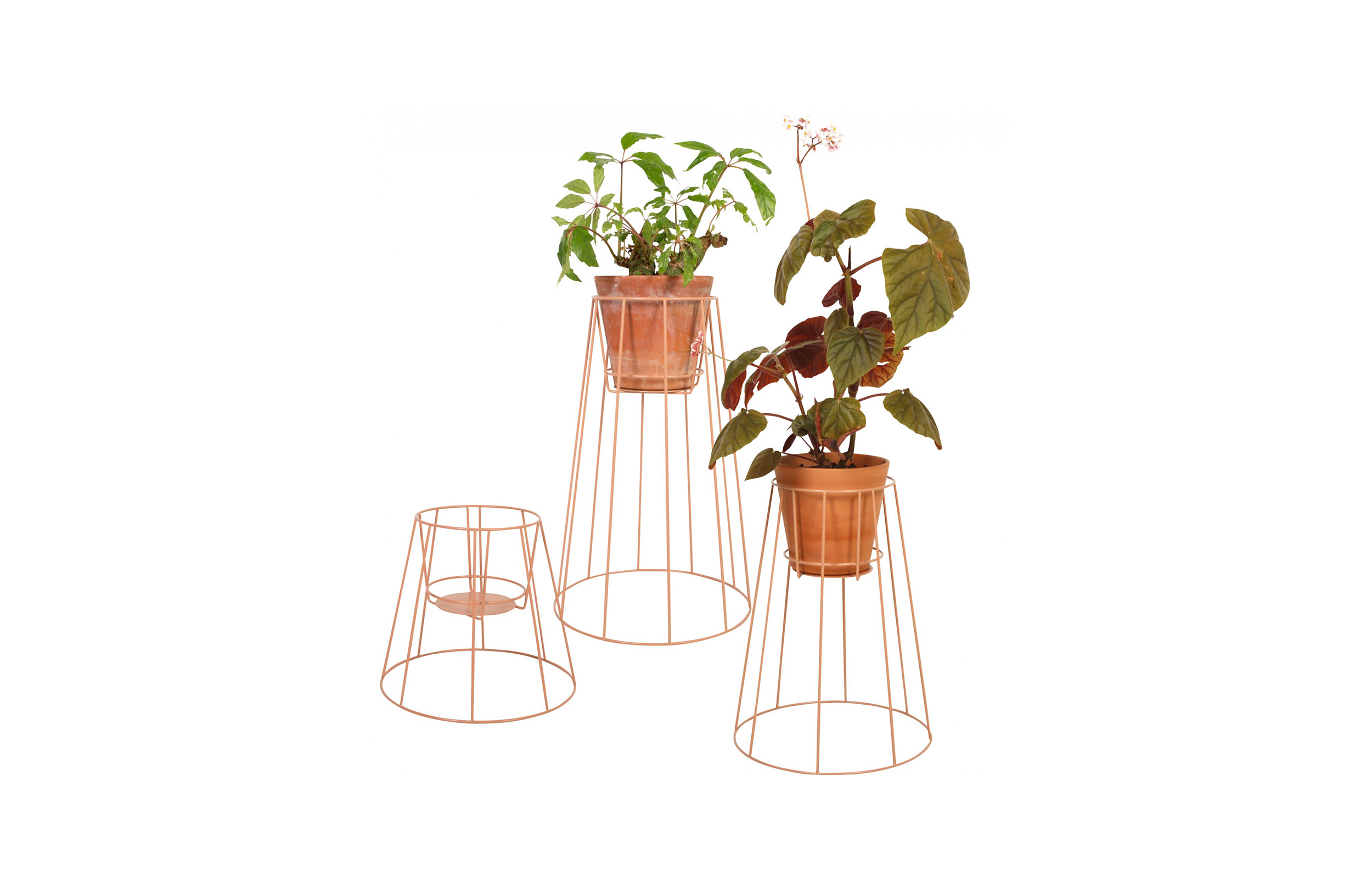 创意华体会网页版登录入口 - 附件|花器|办公华体会网页版登录入口|华体会(中国)华体会网页版登录入口|西布莉植物架