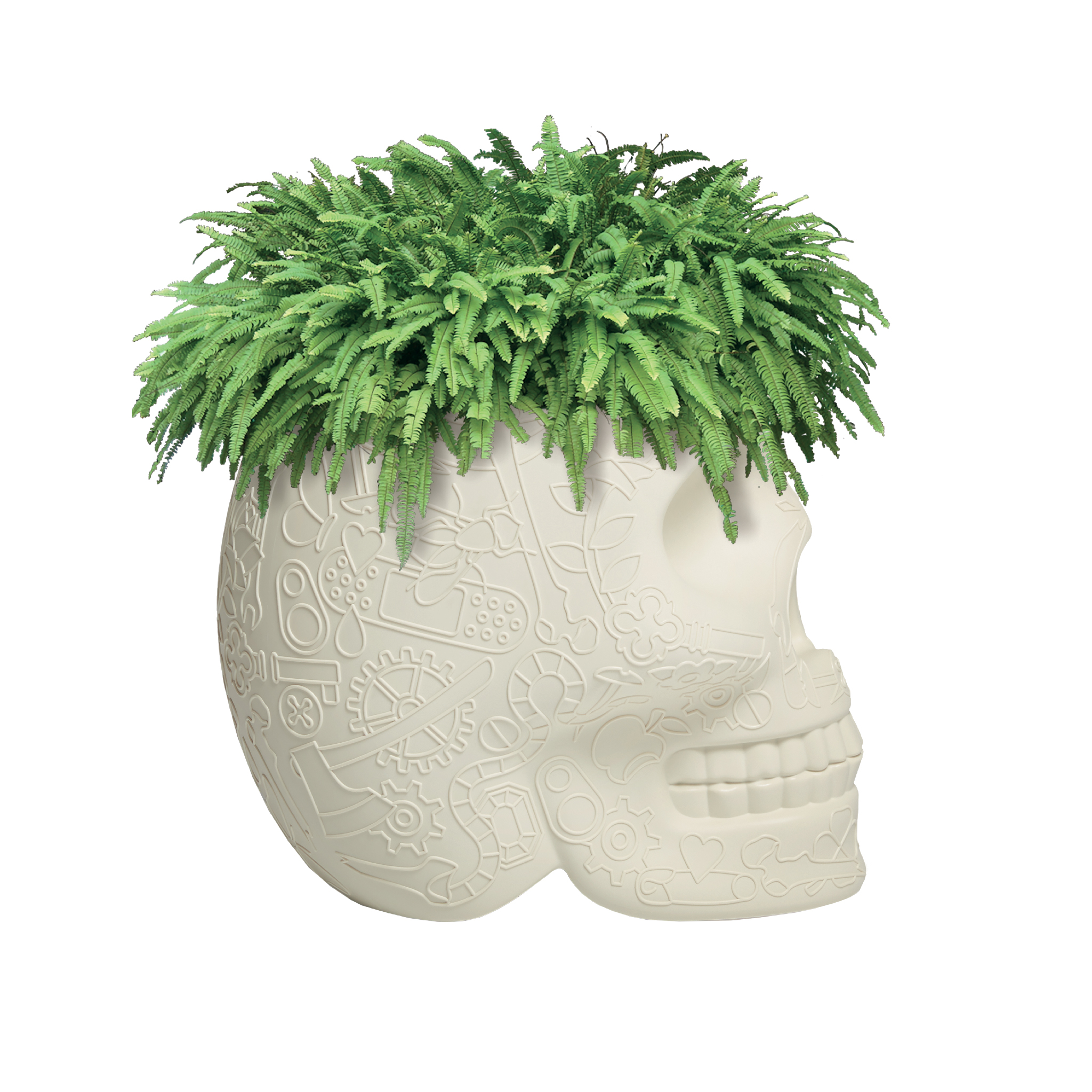 创意华体会网页版登录入口 - 附件|花器|办公华体会网页版登录入口|华体会(中国)华体会网页版登录入口|墨西哥花盆