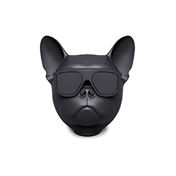 AeroBull Nano音箱 让·米歇尔·雅尔  Jarre Technologies华体会网页版登录入口品牌