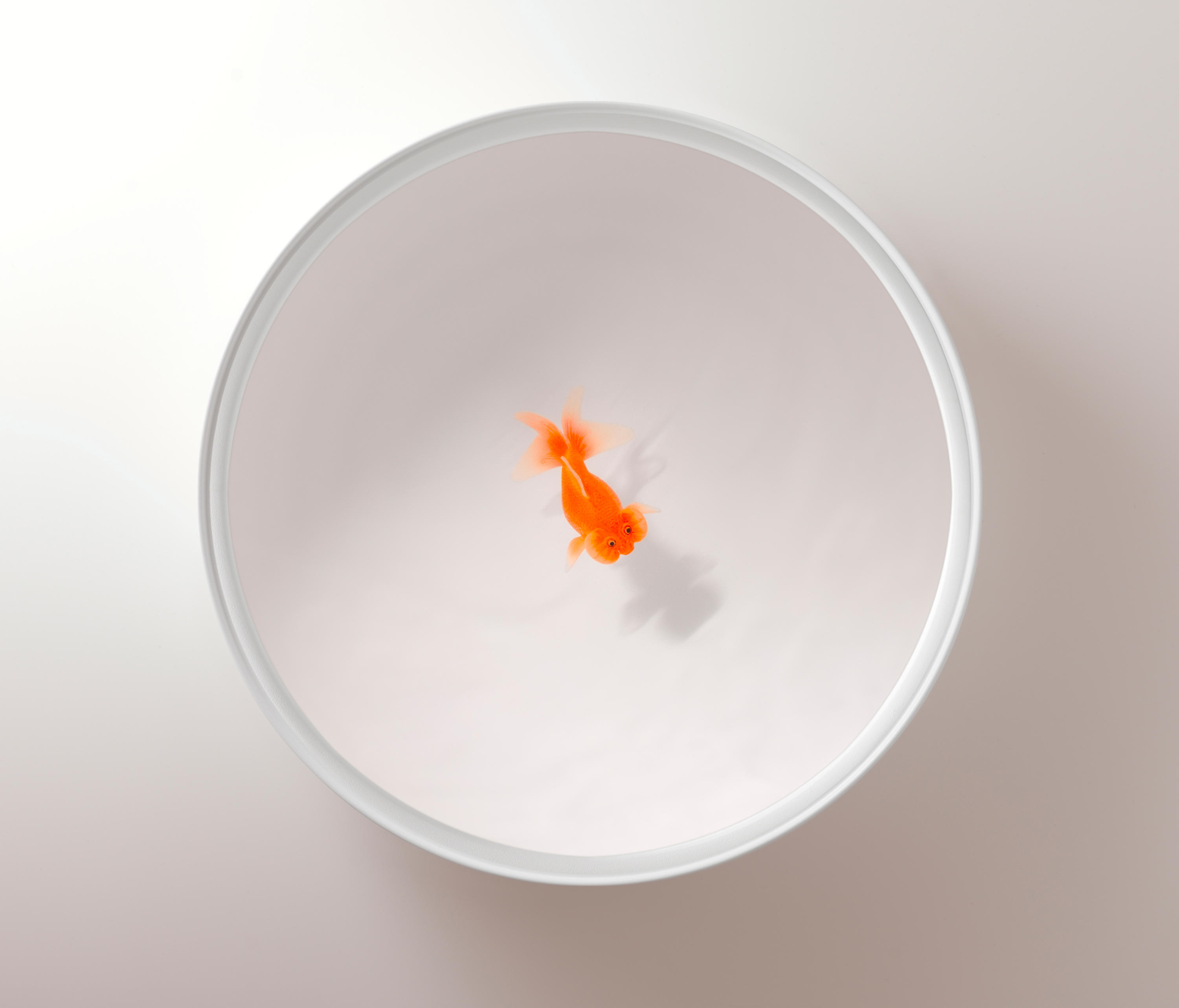 创意华体会网页版登录入口 - 桌几|茶几/边几|办公华体会网页版登录入口|华体会(中国)华体会网页版登录入口|Up in the Air 茶几/角几