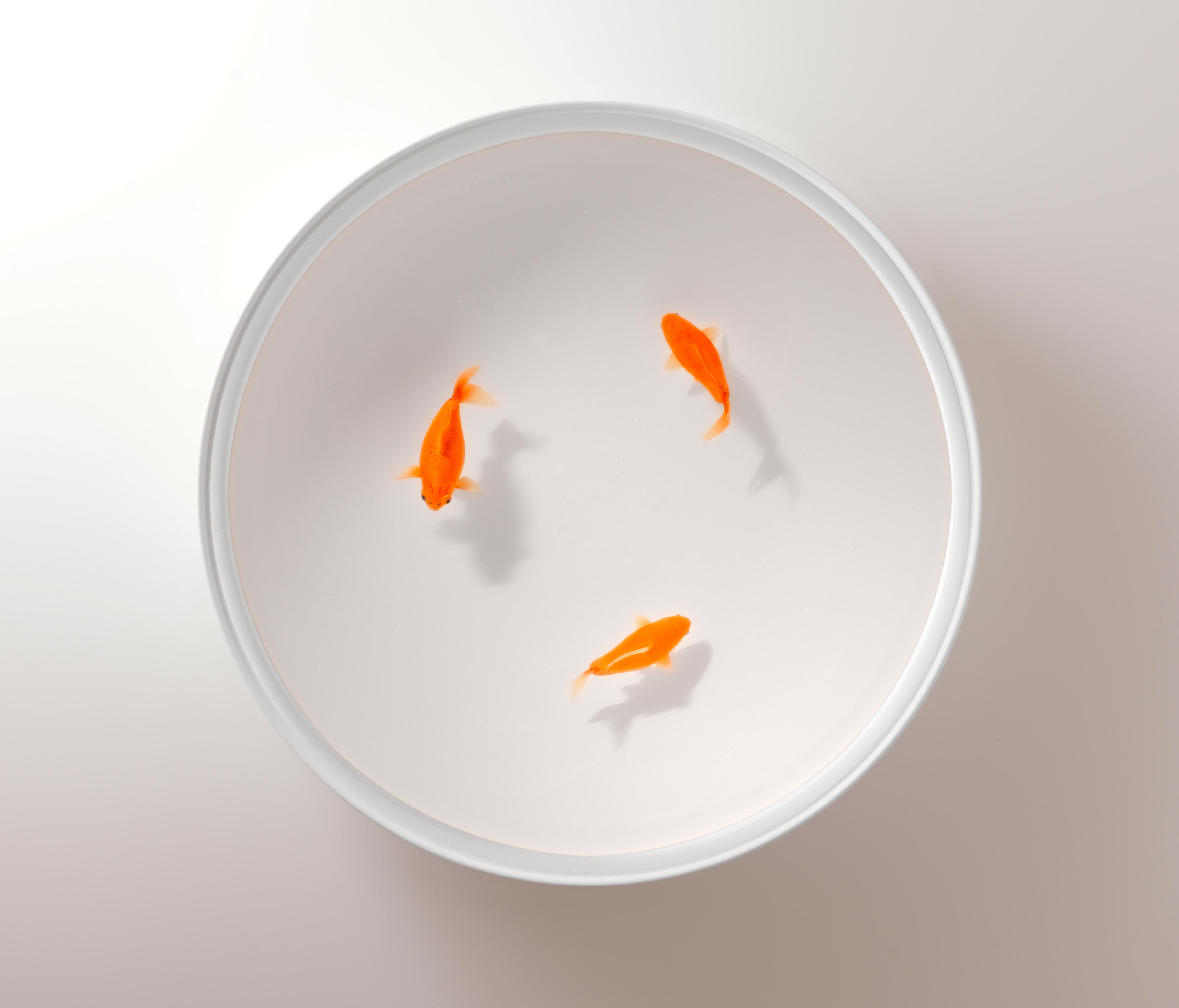 创意华体会网页版登录入口 - 桌几|茶几/边几|办公华体会网页版登录入口|华体会(中国)华体会网页版登录入口|Up in the Air 茶几/角几