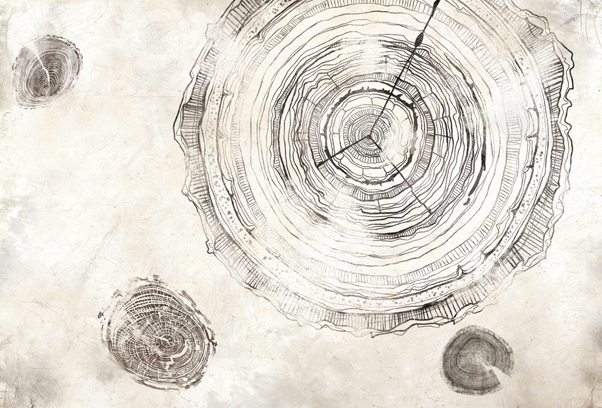 [创意华体会网页版登录入口 - 附件|装饰画/墙饰|办公华体会网页版登录入口|华体会(中国)华体会网页版登录入口|万物生长-原创定制壁画]