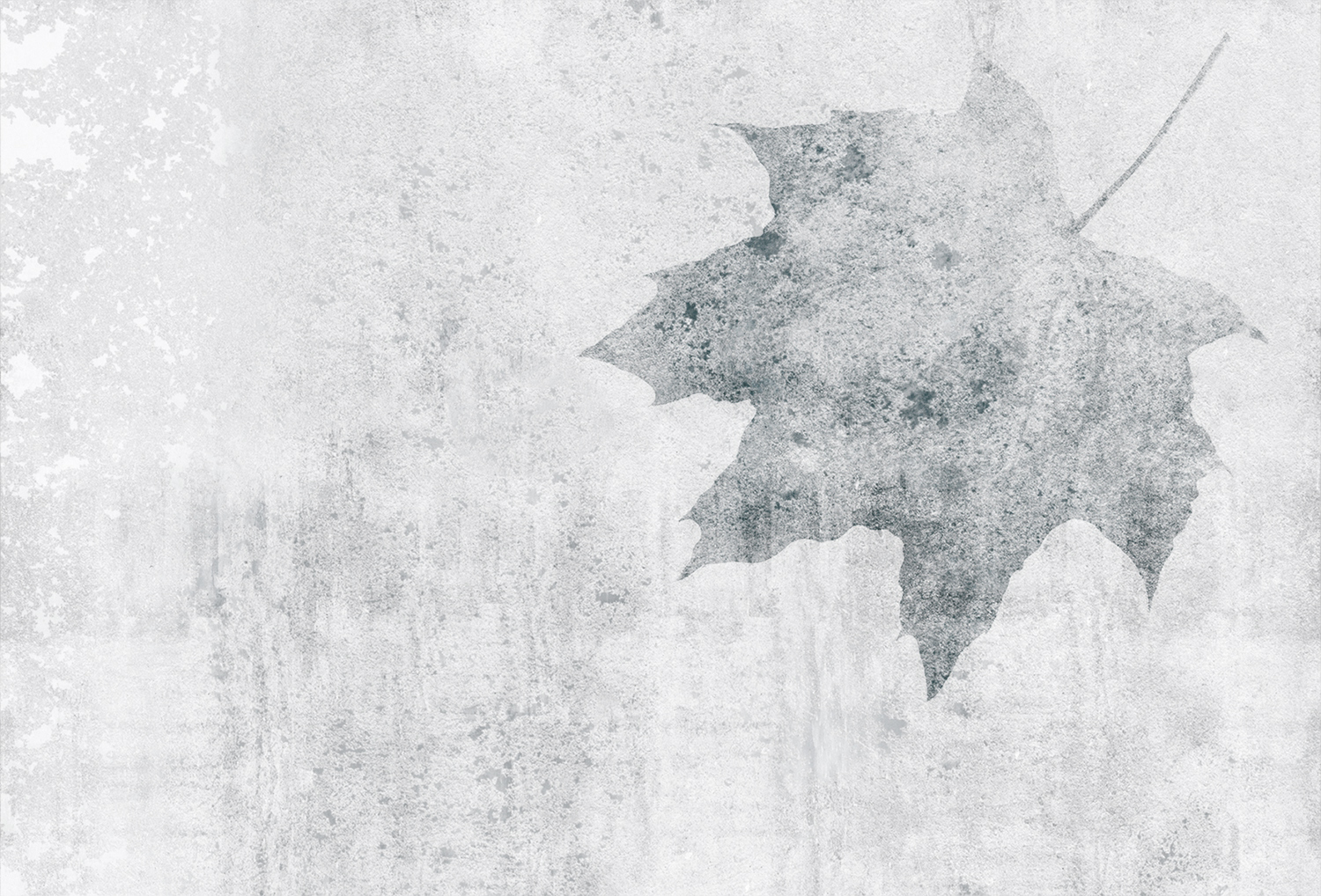 [创意华体会网页版登录入口 - 附件|装饰画/墙饰|办公华体会网页版登录入口|华体会(中国)华体会网页版登录入口|枫叶-原创定制壁画]