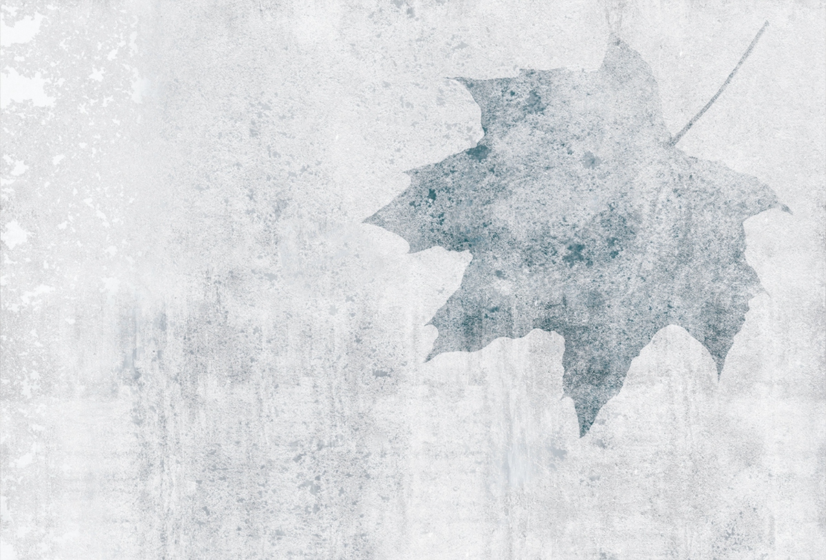 创意华体会网页版登录入口 - 附件|装饰画/墙饰|办公华体会网页版登录入口|华体会(中国)华体会网页版登录入口|枫叶-原创定制壁画