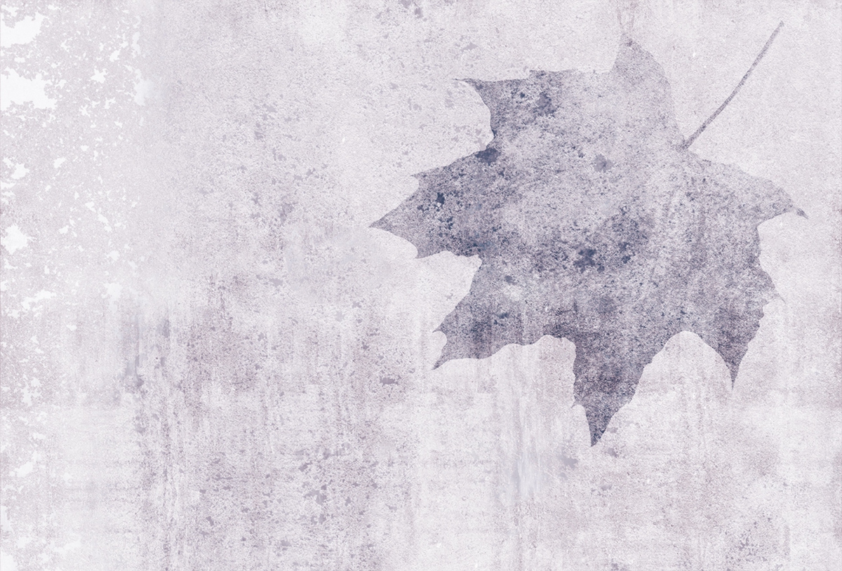 创意华体会网页版登录入口 - 附件|装饰画/墙饰|办公华体会网页版登录入口|华体会(中国)华体会网页版登录入口|枫叶-原创定制壁画