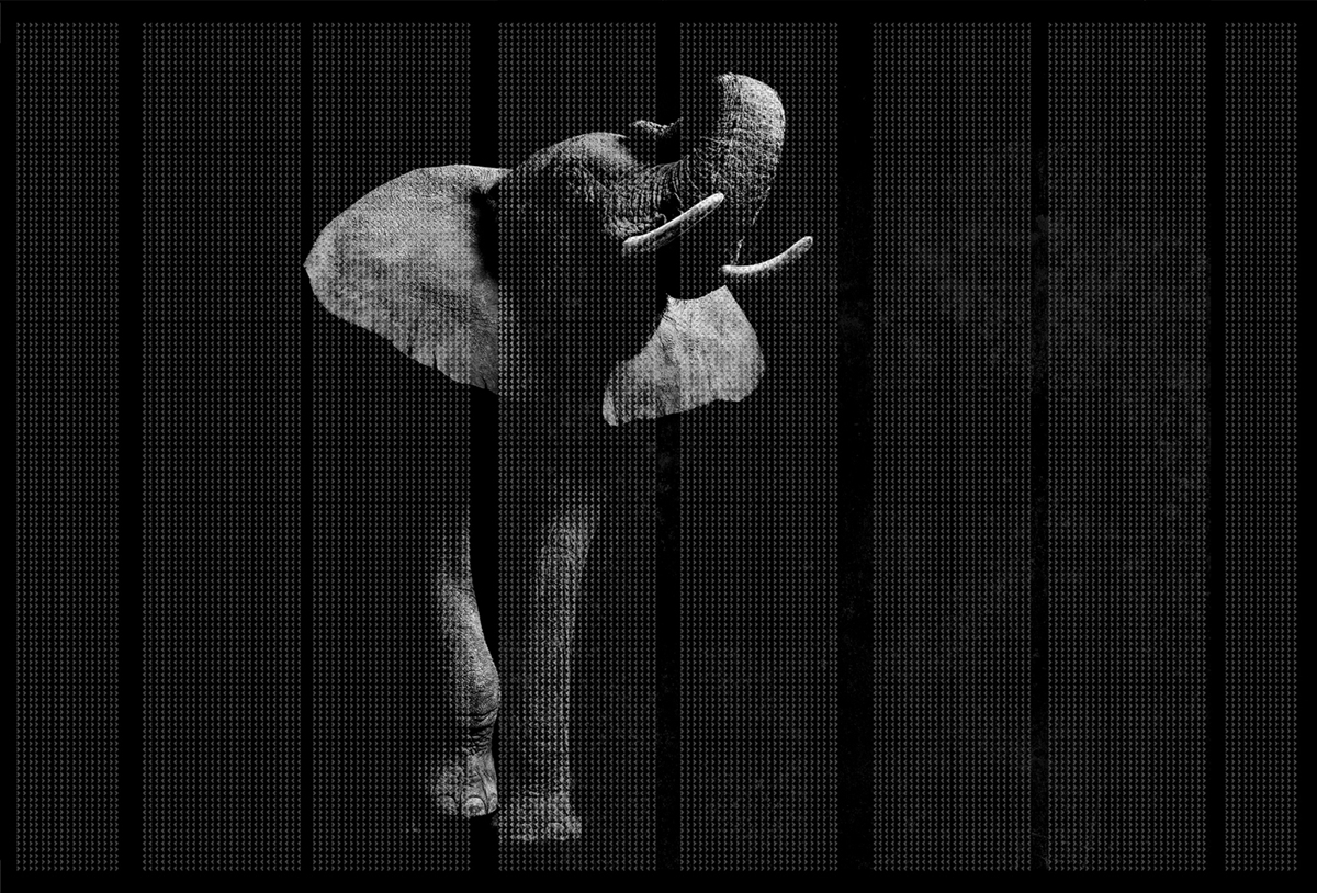 [创意华体会网页版登录入口 - 附件|装饰画/墙饰|办公华体会网页版登录入口|华体会(中国)华体会网页版登录入口|非洲-原创定制壁画]